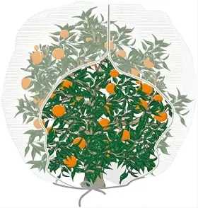 In8472zpw Agfabric Bird Netting 84 Inch Hx72 W Garden Insect Pest Barrier Plant Cov