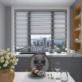 Rbs345gy720a-fb Changshade Zebra Blinds For Windows Cordless Double Layered Roller Semi Sheer