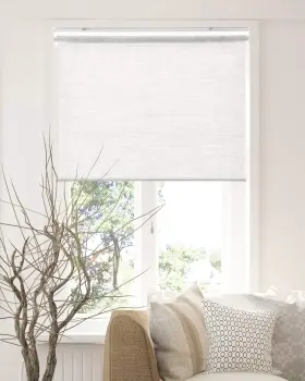 Rsfw2772 Chicology Roller Shades Cordless Blinds Window For Home W