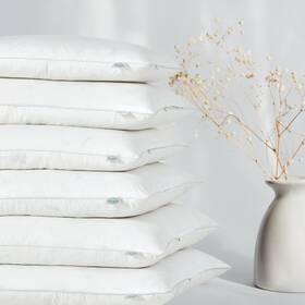 Cloudote 717813935299 Goose Feather Down Throw Pillow Insert 20 Inch X20 Pack Of 2 Decorative Pillo