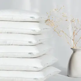 Cloudote 717813935299 Goose Feather Down Throw Pillow Insert 20 Inch X20 Pack Of 2 Decorative Pillo