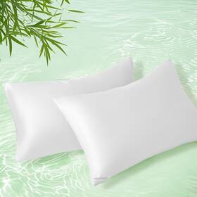 Homiest Bls250318-2005 Cooling Pillow Cases Standard Size Set Of 2 100% Rayon Derived From