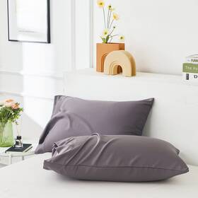 Lcbd Bpc-17-sd Cooling Pillow Cases Standard Size Set Of 2 - Rayon Derived From Bamboo Grey