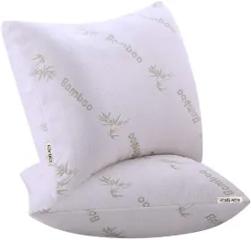 Niagara Sleep Solution 060545022634 King Size Bed Pillows 2 Pack 20x36 Soft Down A