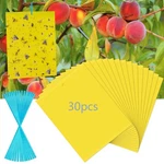 30 Pack Yellow Sticky Traps Fruit Fly Trap, Double-sided Fungus Gnat Ins.... Price: $21.73.