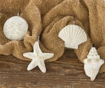 Park Designs Seashells Shower Curtain Hooks Set Of 12 Free Shipping New. Price: $24.75.