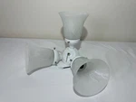 Hunter Ceiling Fan Light Kit 3-SHADES White Finish Used. Price: $24.99.