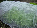 Agfabric 10X10/15/25/50FT Mosquito Netting Garden Insect Barrier New. Price: $23.99.