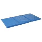 Kaplan Early Learning 3-FOLD 2" Thick Mat Set Of 4 New. Price: $184.95.