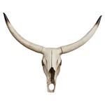 Notakia Gaobei Cow Skull Wall Hanging Steer Southwest Bull... New. Price: $73.57.