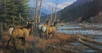 Michael Sieve Athabasca River Monarch Signed & Numbered Unspecified. Price: $89.95.