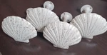 Set Of 4 - Brass Shell Curtain Tieback Holdback Art Deco Antique White Finish Used. Price: $82.87.