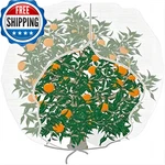 Agfabric Bird Netting 30 HX60 Garden Insect Pest Barrierplant Cover New. Price: $33.90.