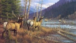 Michael Sieve Athabasca River Monarch - Elk Unspecified. Price: $148.99.