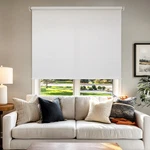 Chicology Roller Shades Cordless Blinds Window For Home New. Price: $25.79.