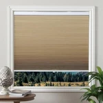 Grandekor 31X64 Cellular Shades Cordless Blackout Blinds Window Fabric Shad. Open. Price: $47.99.