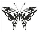 Butterfly Large Novelty Vinyl Sticker Car Van Lorry Window Decal Tribal Bonnet New. Price: $21.40.