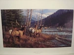 Michael Sieve "athabasca River Monarch" Unframed Mint Elk Print S/n #435/850 Unspecified. Price: $70.00.
