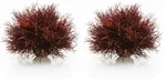 Biorb Sea Lily Crimson (pack Of 2) 1 Count New. Price: $39.60.