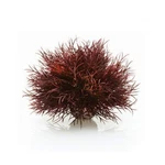 Biorb Sea Lily Crimson New. Price: $24.30.