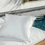 Indoor/outdoor Waterproof Throw Pillow Insert (22"X22"), Decorative Fo... New. Price: $34.33.